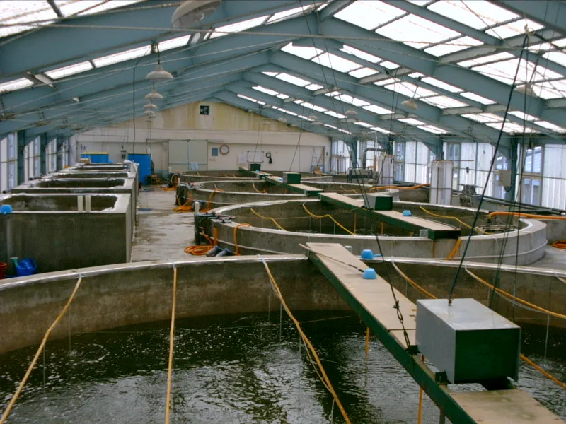 Thompson State Fish Hatchery