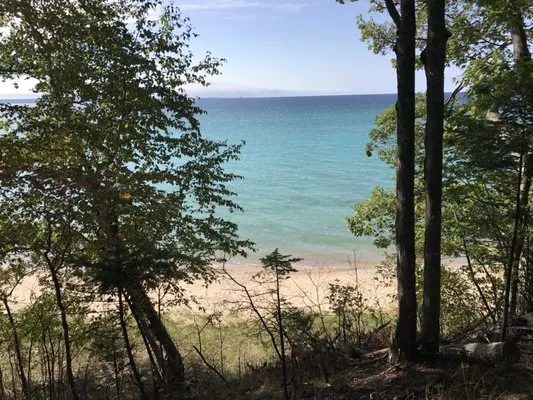 Thorne Swift Nature Preserve