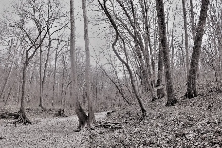 Three Creeks Trail