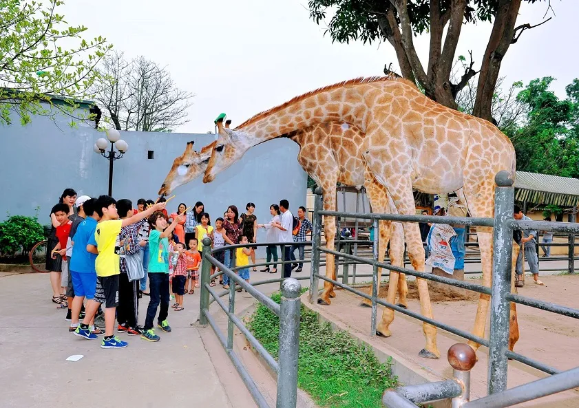 Thu Le Park (Hanoi Zoo)