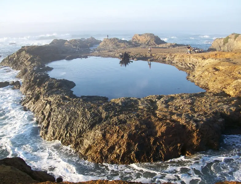 Tidal Pool Exploration