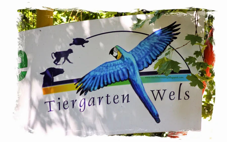 Tiergarten Wels