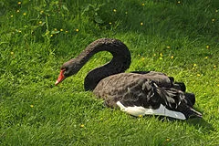 Tierpark Bad Pyrmont