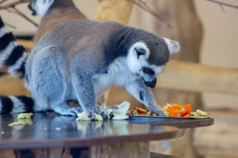 Tierpark Bochum