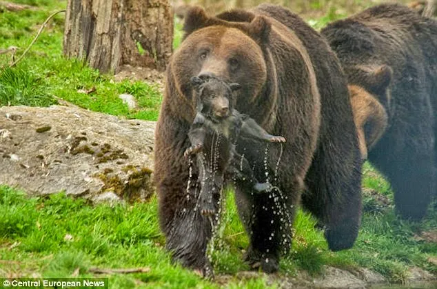Tierpark Dählhölzli