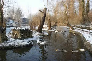 Tierpark Greifswald