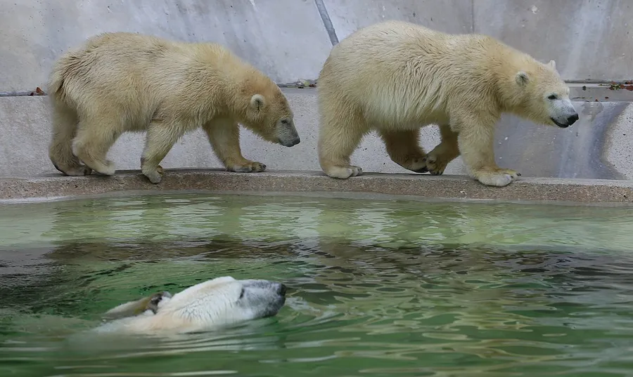 Tierpark Hellabrunn