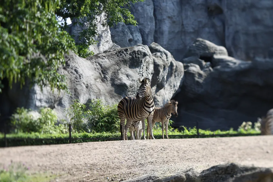 Tierpark Wismar
