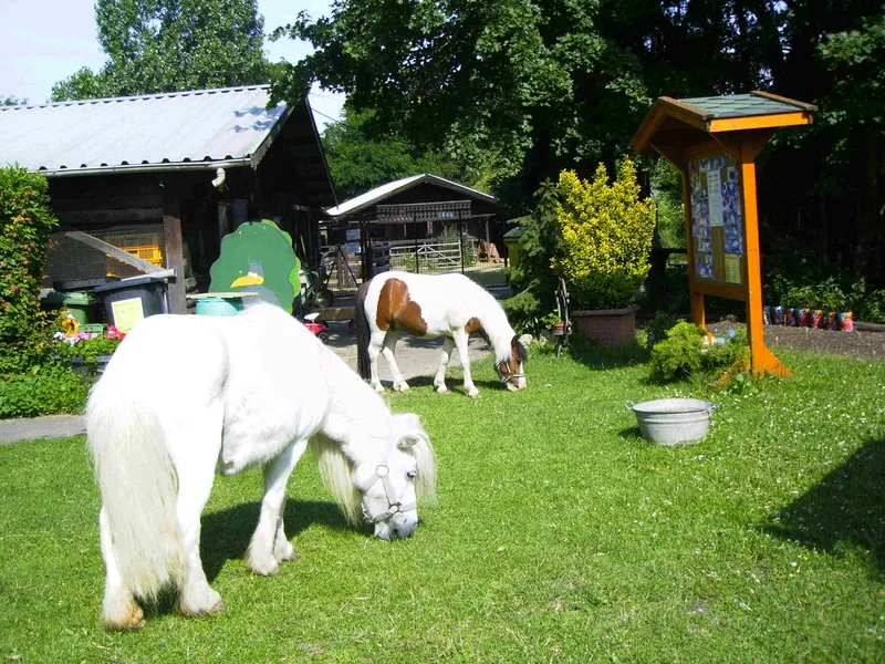 Tierpark Wolgast
