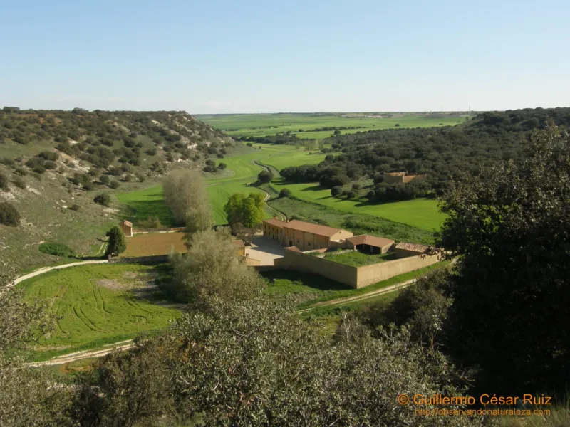 Tierra de Campos Landscape