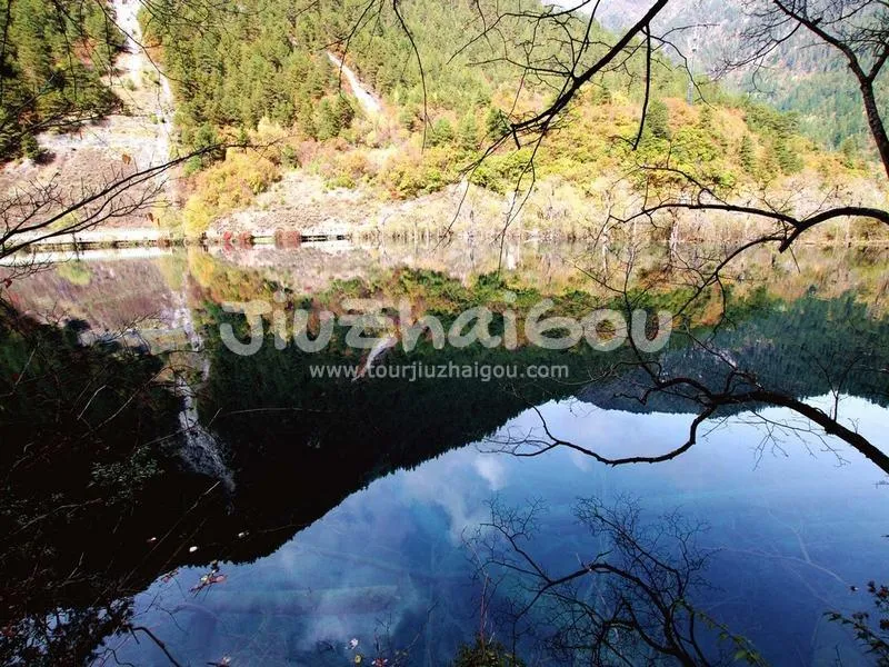 Tiger Lake