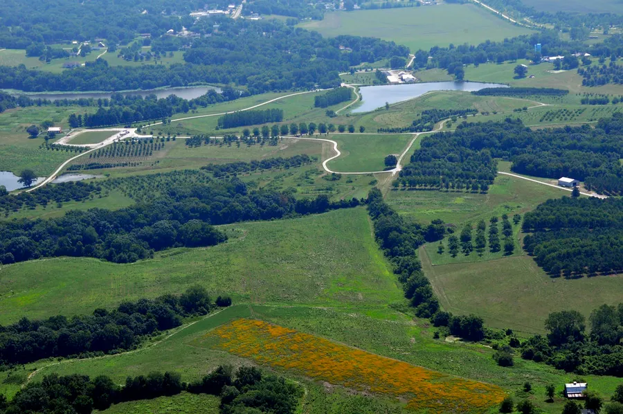Timberland Park