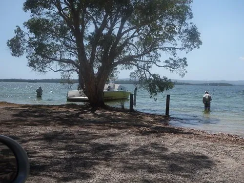 Tin Can Bay Foreshore