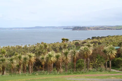 Tiritiri Matangi Visitor Centre