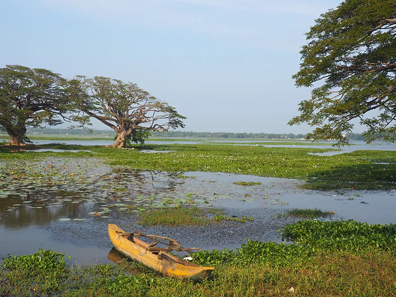 Tissa Wewa