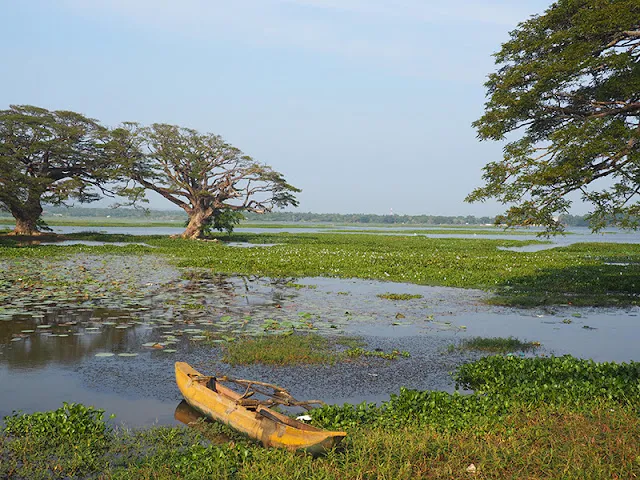Tissa Wewa