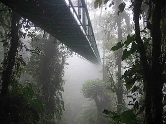 Titi Canopy Tours