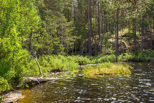 Tiveden National Park