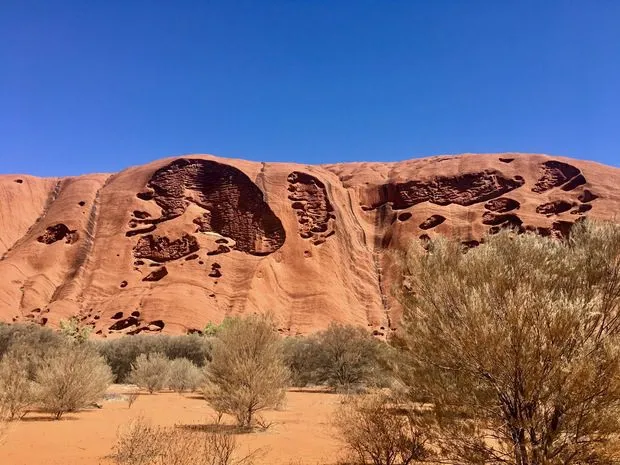 Tjintu Tours Uluru Camel Tours