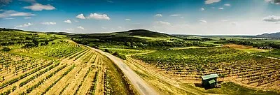Tokaj Wine Region