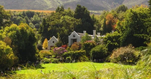 Tokara Wine Estate