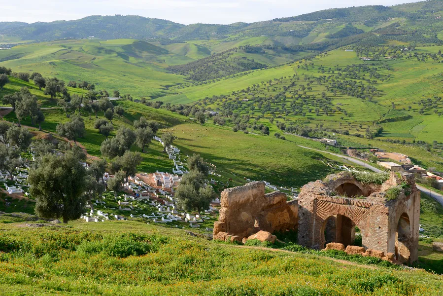 Tombs of the Marinids
