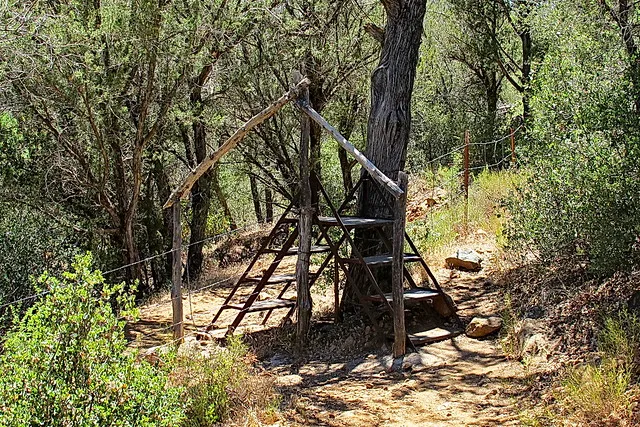 Tonto National Forest (Cave Creek Area)
