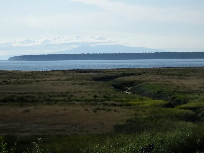 Tony Knowles Coastal Trail