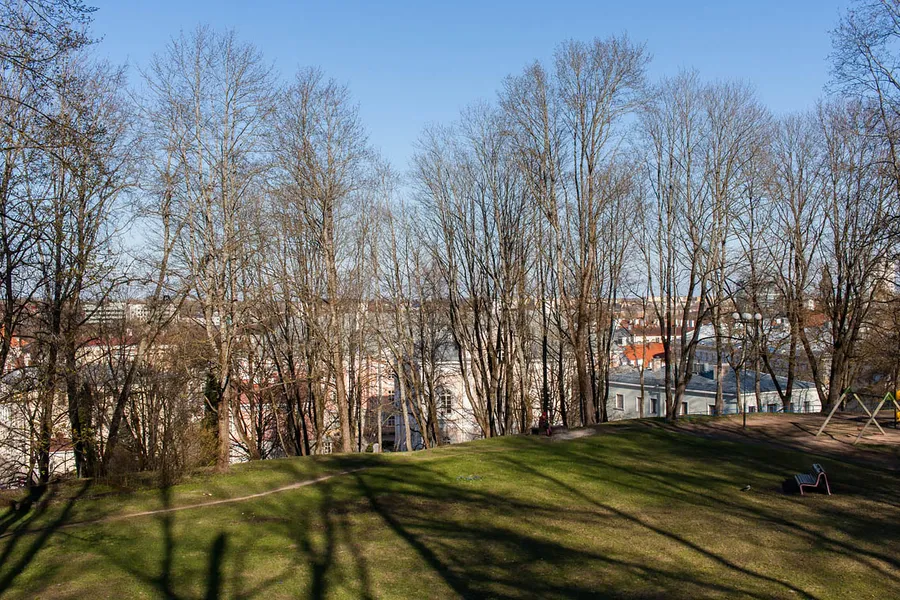 Toomemägi Hill