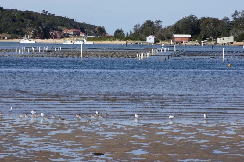 Top Fun Merimbula