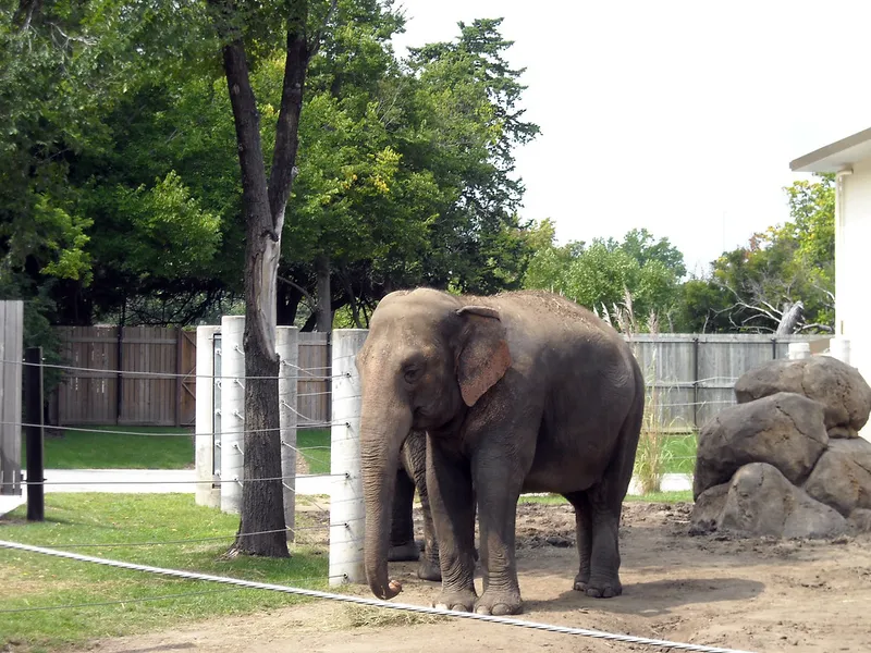 Topeka Zoo