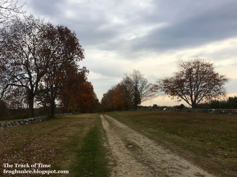 Topsmead State Forest