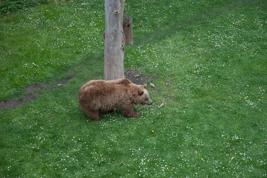 Torgau Zoo
