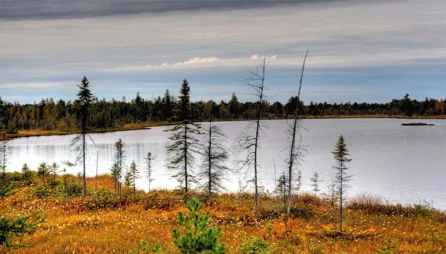 Torrance Barrens Dark-Sky Preserve (nearby)