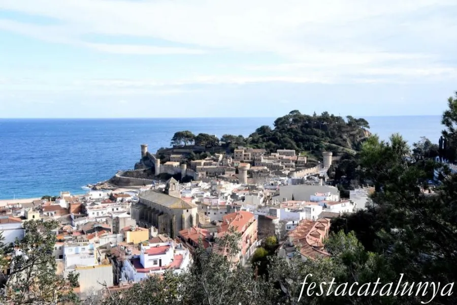 Torre de Can Magí