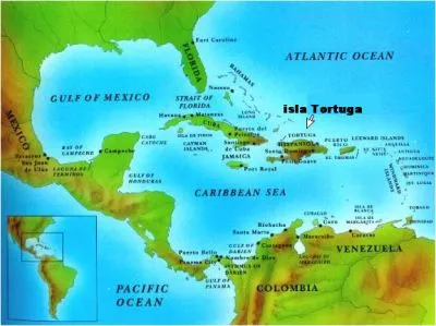 Tortuga Island Cruise