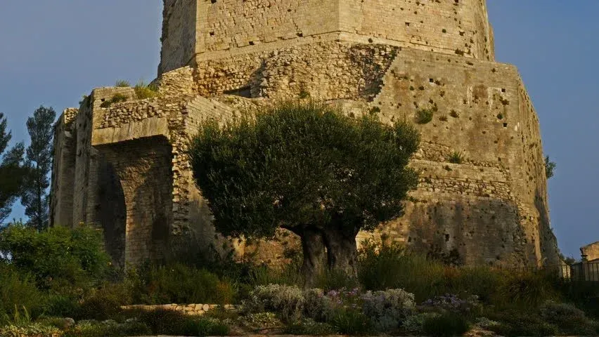 Tour Magne
