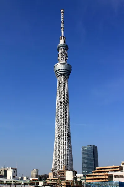 Tower of History