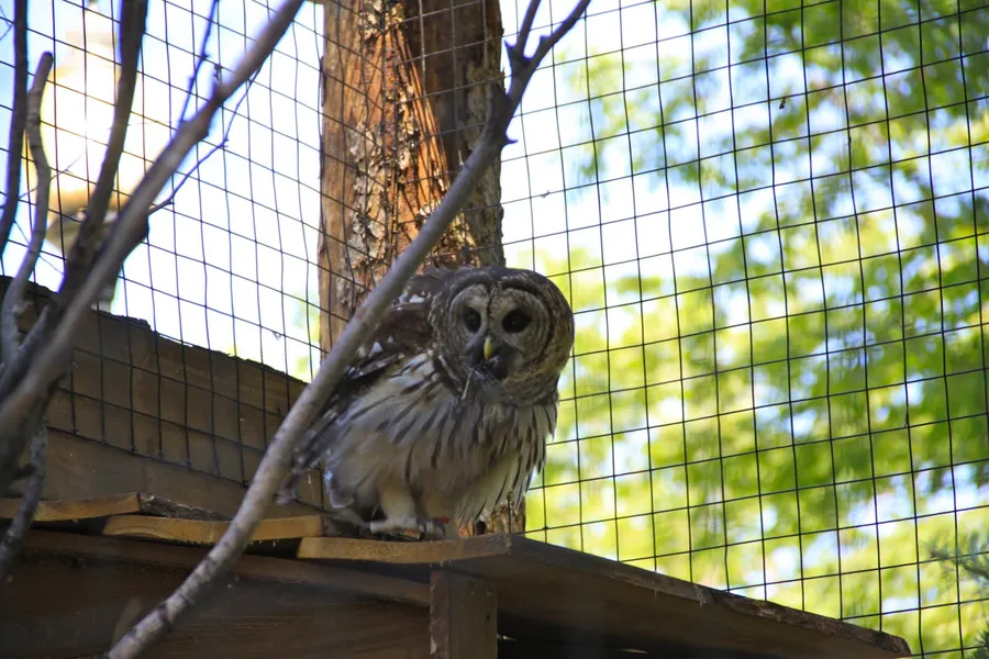 Tracy Aviary