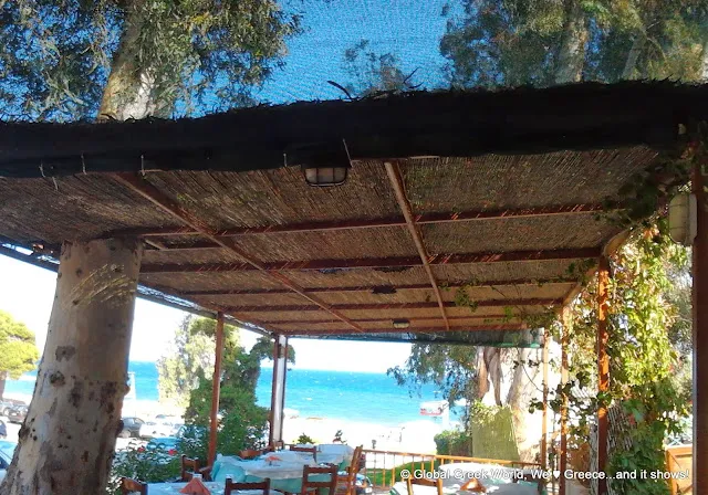 Traditional Tavernas of Andritsaina