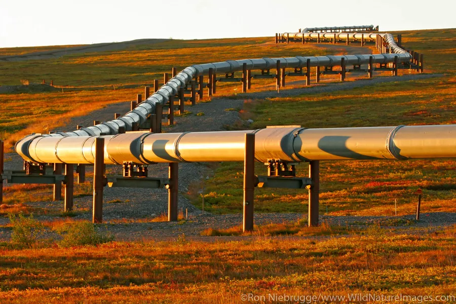 Trans-Alaska Pipeline Viewpoint