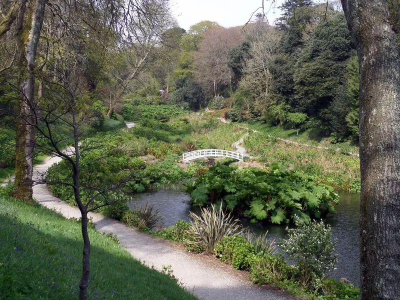 Trebah Garden