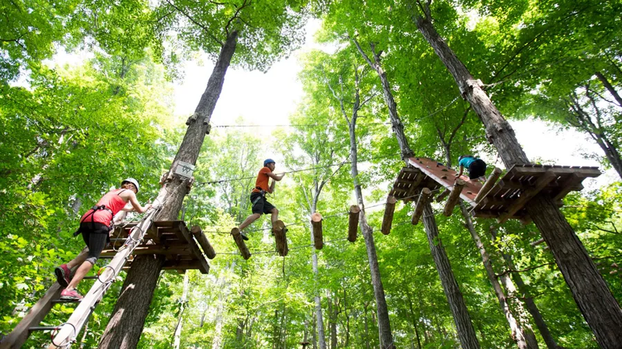 Treetop Adventure Park