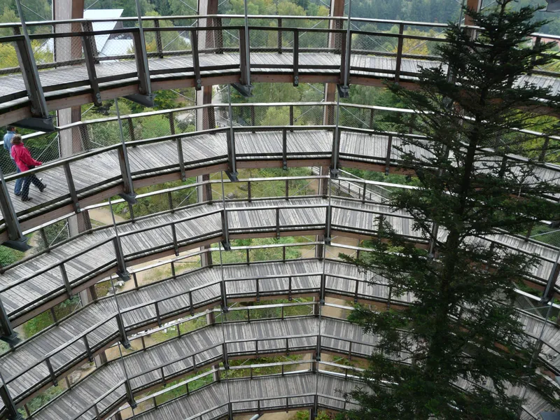 Treetop Walking Path