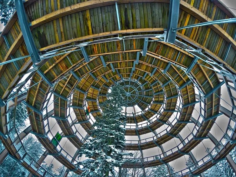 Treetop Walking Path