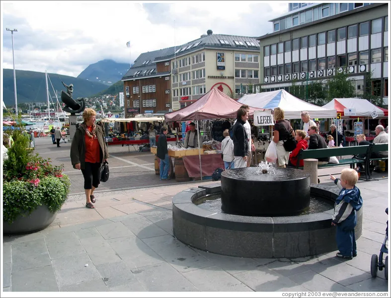 Tromso Market