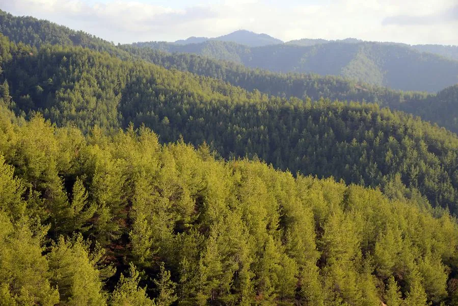 Troodos Mountains