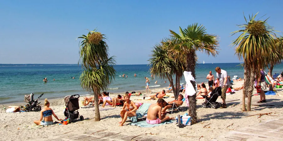 Tropical Beach