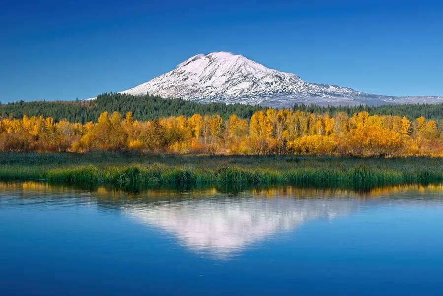 Trout Lake