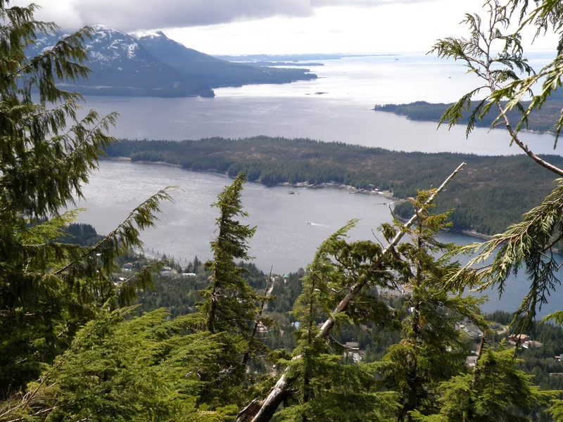 Tsalteshi Trails